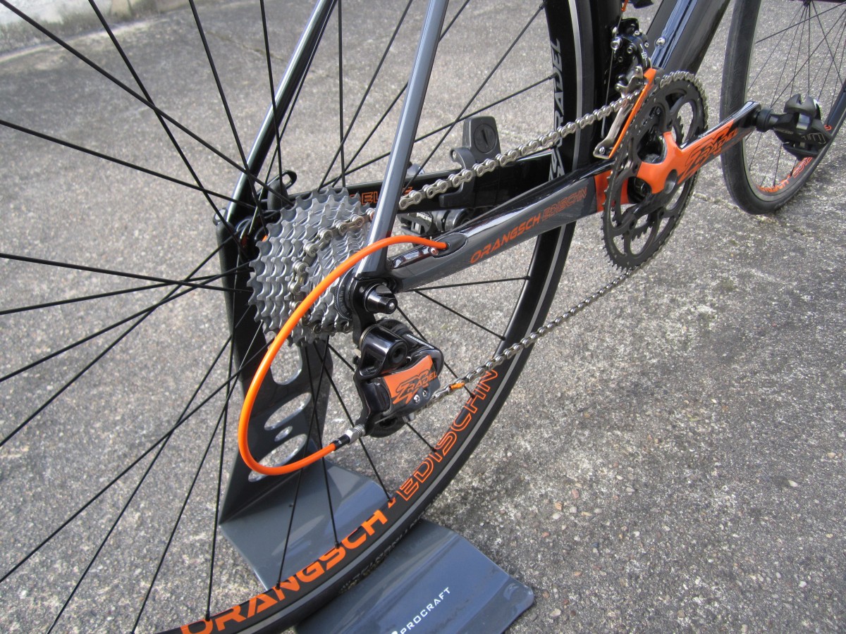 ZXRADEL Orangsch-EDISCHN