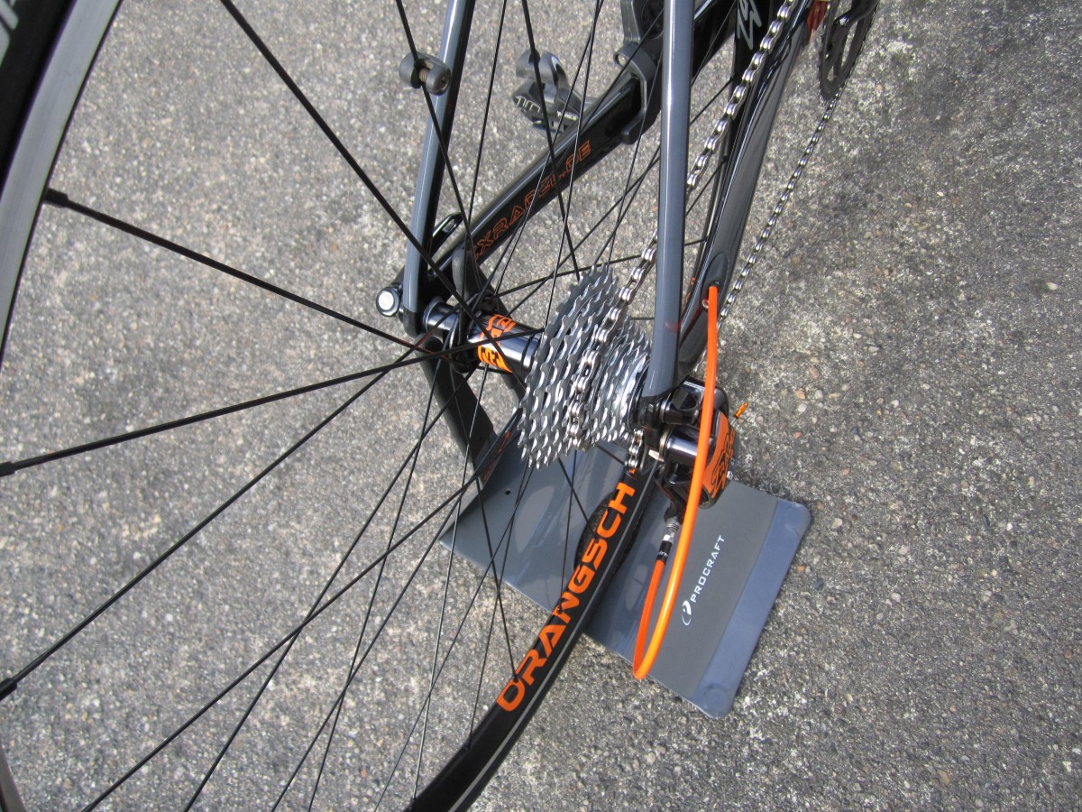 ZXRADEL Orangsch-EDISCHN