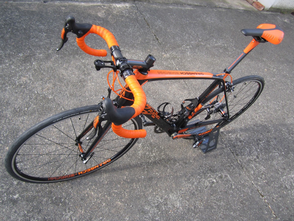 ZXRADEL Orangsch-EDISCHN