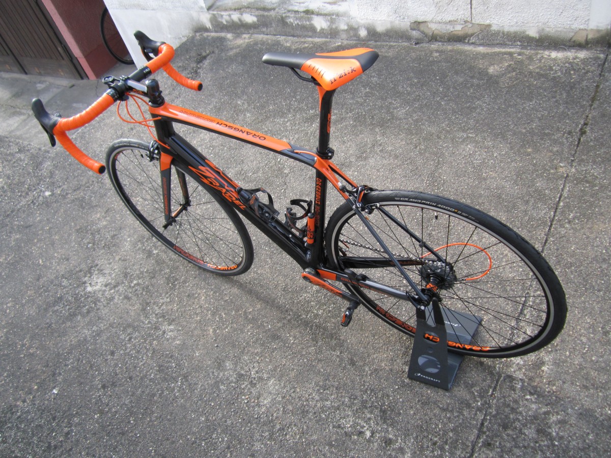 ZXRADEL Orangsch-EDISCHN